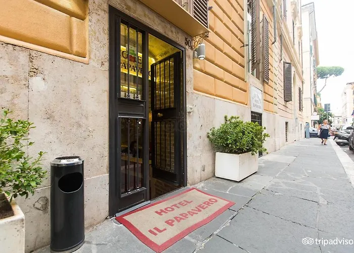 Il Papavero